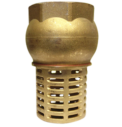 Brass Foot Valve 2 inch