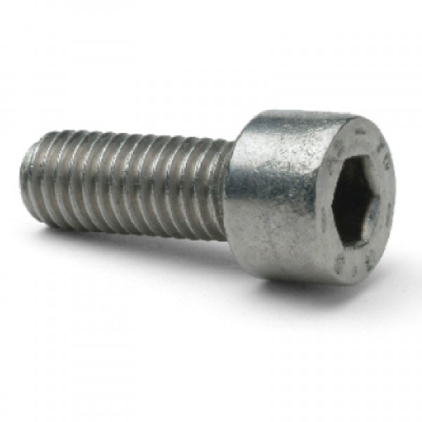 SS Allen Bolt M6x20mm