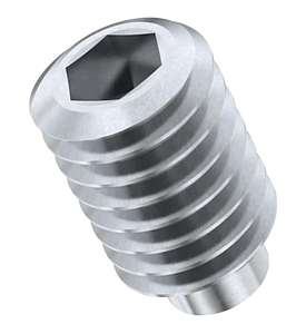SS Grub Screw M2X6MM