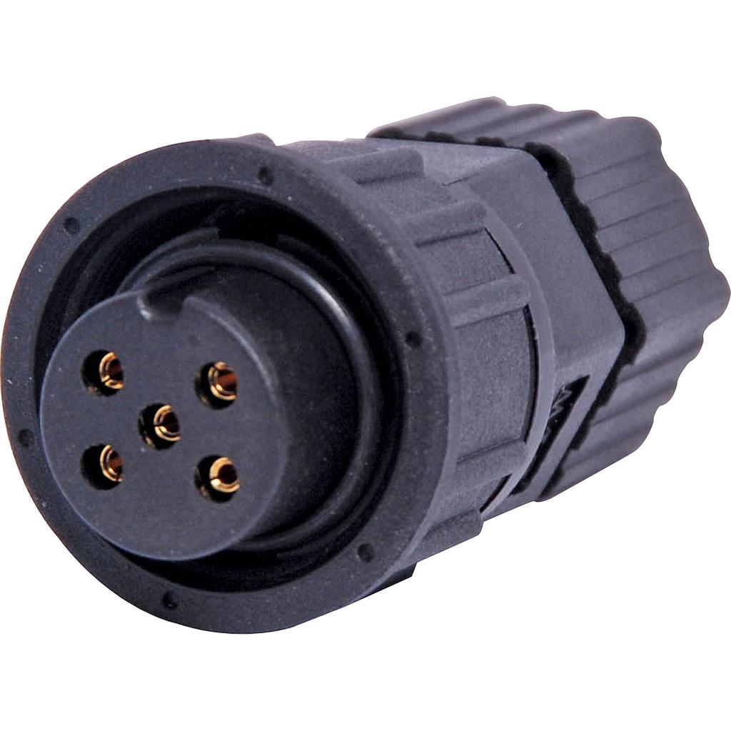 5 Pin 5A socket