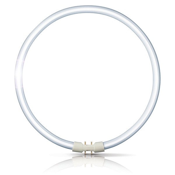 SAMSON MASTER TL5 22W/865 Circular Tube